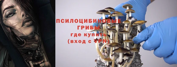 прущая мука Алексеевка