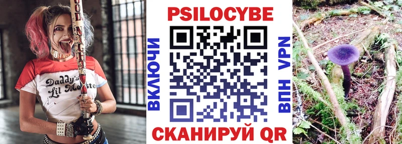 как найти закладки  Пенза  shop клад  Галлюциногенные грибы Cubensis 