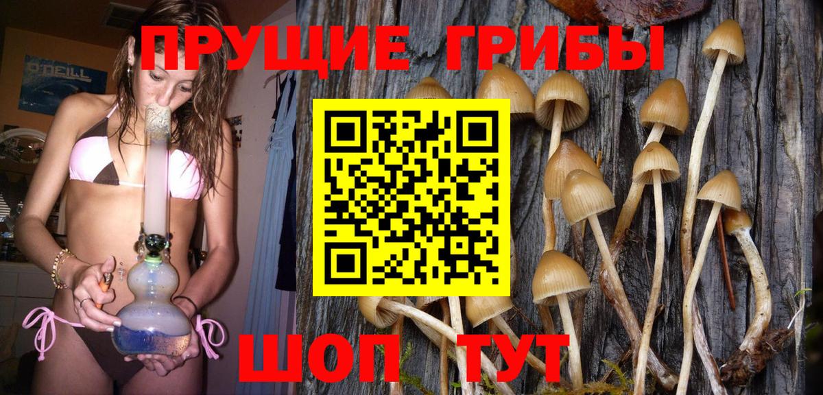 Пенза  Псилоцибиновые грибы ЛСД  Вход с VPN  Галлюциногенные грибы Psilocybe 